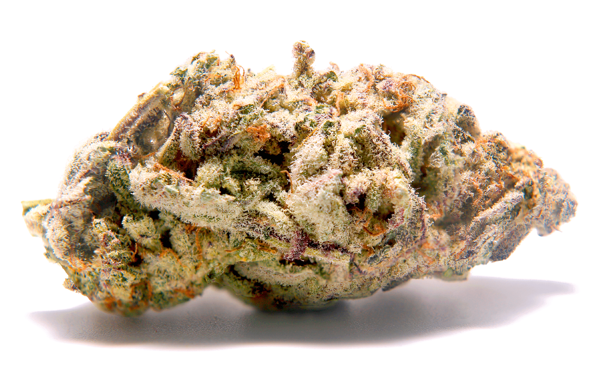 mac 1 strain